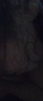 TxGal409's Sultry Hispanic Blowjob Affair