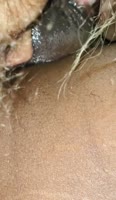 ExoticCouple666's Ebony Milf Blowjob Showdown: Daddy Gets Sloppy Head & Ass Licking