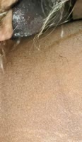 ExoticCouple666's Ebony Milf Blowjob Showdown: Daddy Gets Sloppy Head & Ass Licking