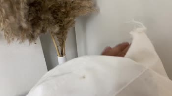 Clarke Amanda - Amanda Clarke's Wet Cumshot POV Blowjob