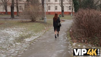 VIP4K. Waxwork