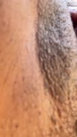 Up Her Skirt's Risky Public Squirts: Squirting Orgasms Unleashed