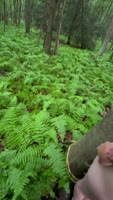 Bound Blonde Bliss: SexyCoupleXoXo's Forest Frenzy