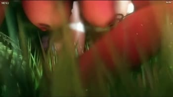 Gensh1ngamer - Genshin Impact 3D XXX: Step Sis's Big Tits in High-Speed Lust
