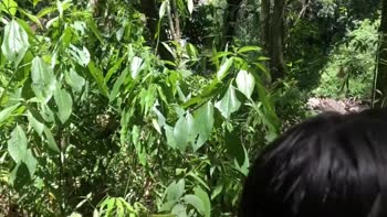SkatistaTatuado's Naughty Escapade in the Woods