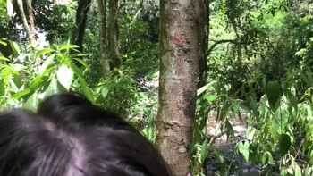 SkatistaTatuado's Naughty Escapade in the Woods