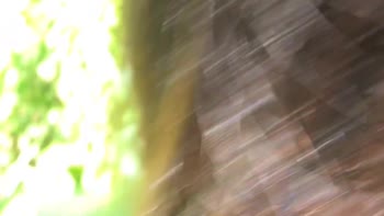 SkatistaTatuado's Naughty Escapade in the Woods
