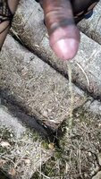 Ninarosi3435 - Femboy Paradise: Beautiful Jungle Piss in 60fps HD