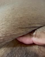QueenSugarBare's Sensual Solo: Big Natural Ebony Boobs on Display
