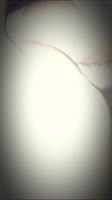 StephanieLemes' Cheating Wife Romp: Hotwife Cuckold in Real Cornudo Action