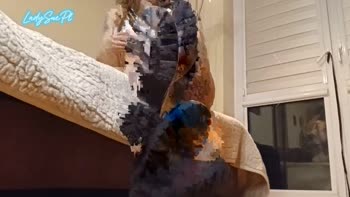 LadySuePolska's Blazing Brunette Solo: Big Tits & Foot Worship