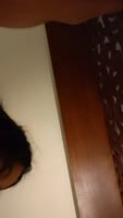 19TheHarbinger68 - Harbinger's Pinay Pleasure: College Cutie Goes Wild