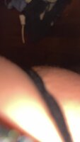 Right Angles' Trans Hips in Slow Motion Bliss