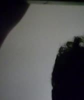 LrningToLoveHrself's Pleasure Moans While Bouncing on Dick