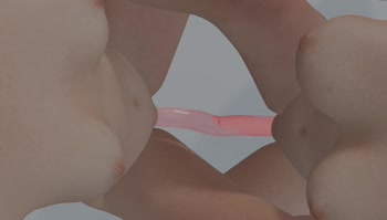 Televids' Dorm Room Delight: Best Friends Share Dildo Fun