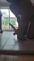 IamTomFatAss - Tom's Fat Ass Dildo Ride: Big Ass Anal Delight