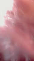 VanesaRio's Scorching Latina Oral Delight
