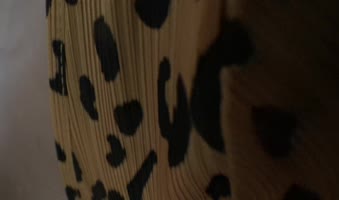 stepmomsusan's Perverted Pissing & Fucking