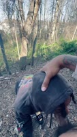 HighLifeRalo - Ralo's Co-worker Cheat in Woods: Big Dick Blowjob & Cumshot