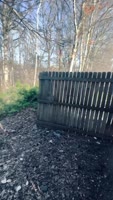 HighLifeRalo - Ralo's Co-worker Cheat in Woods: Big Dick Blowjob & Cumshot