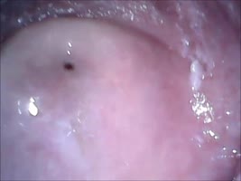 Cam in mouth vagina and extreme ass closup