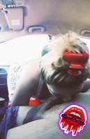 Khiara Labios Rojos Gets Uber Rough Ride