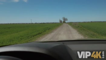 VIP4K. Deep Green Field Of Experiments