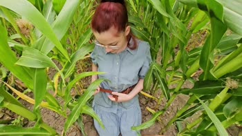 petitesubkitten - Petite Kitten's Cornfield BJ & Facial