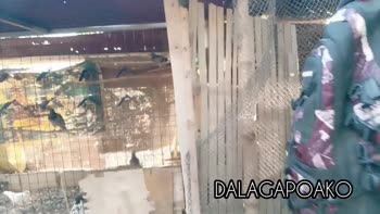 DALAGAPOAKO's Outdoor Seduction: Pinay Student's Public Affair