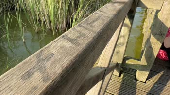 AlexSanderOfficial - Alex's Lakeside Surprise: Public Handjob & Masturbation