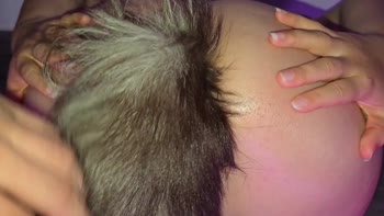 SecretFuckCouple's Fox Anal Plug Teases Big Ass