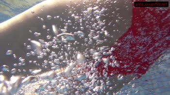 Mia Ferrari's Red Hot Red Lingerie Underwater Show