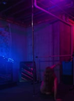 Paige Hope's Sizzling 60FPS Pole Dance Unleashed