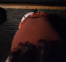BigBootyHottie's Turkish Delight: Step Sis POV Doggystyle Frenzy
