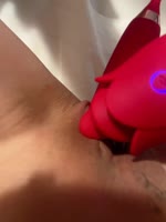 Lululol666's Toronto Solitude: Squirt Showers & Toy Teasers