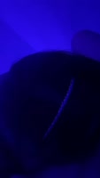 Yelinna69's Persian Seduction: Muslim Hijab Sex Reveal