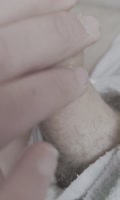 Jebalka96's Sizzling Hot Teen (18+) Oral Creampie