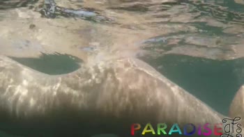 Cassie Fire's Tropical Oasis: Swimming Naked Underwater