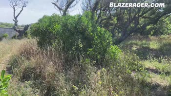 Blaze Rager's Beachside Seduction: POV Rough Sex Action