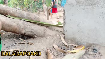 DALAGAPOAKO's Innocent Pinay Debut in Public Creampie