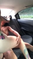 TiffanyMuiller's Sizzling Latina Lesbians Scissor and Play in Uber Ride