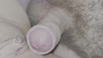 Jebalka96's Teen (18+) Delight: 60FPS Homemade Brunette Pussy Fun