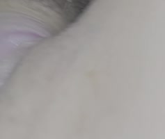 Jebalka96's Teen (18+) Delight: 60FPS Homemade Brunette Pussy Fun