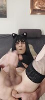Sexy Cat