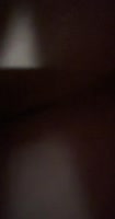 The-shy-couple - The Shy Couple's Intimate 60FPS MILF Adventure
