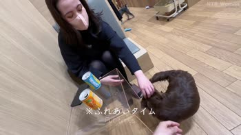 NTR_Woman's Exclusive POV Squirt Show in 60FPS HD