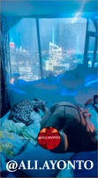 AliAyonto's Big Ass Latina Stormy Seduction: Exclusive Porn for Women