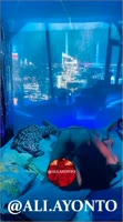 AliAyonto's Big Ass Latina Stormy Seduction: Exclusive Porn for Women