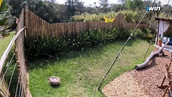 Fernanda_Ribeiro - Fernanda Ribeiro's Big Tit POV: Satisfying Her Craving on Public Pole