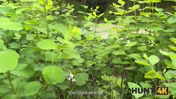 HUNT4K. Hunt Down the Pussy. Hot sex with Maya